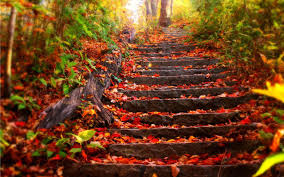 Émerveillement d’automne